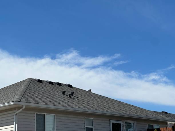 Best Gutter Installation and Repair  in Haskins, OH